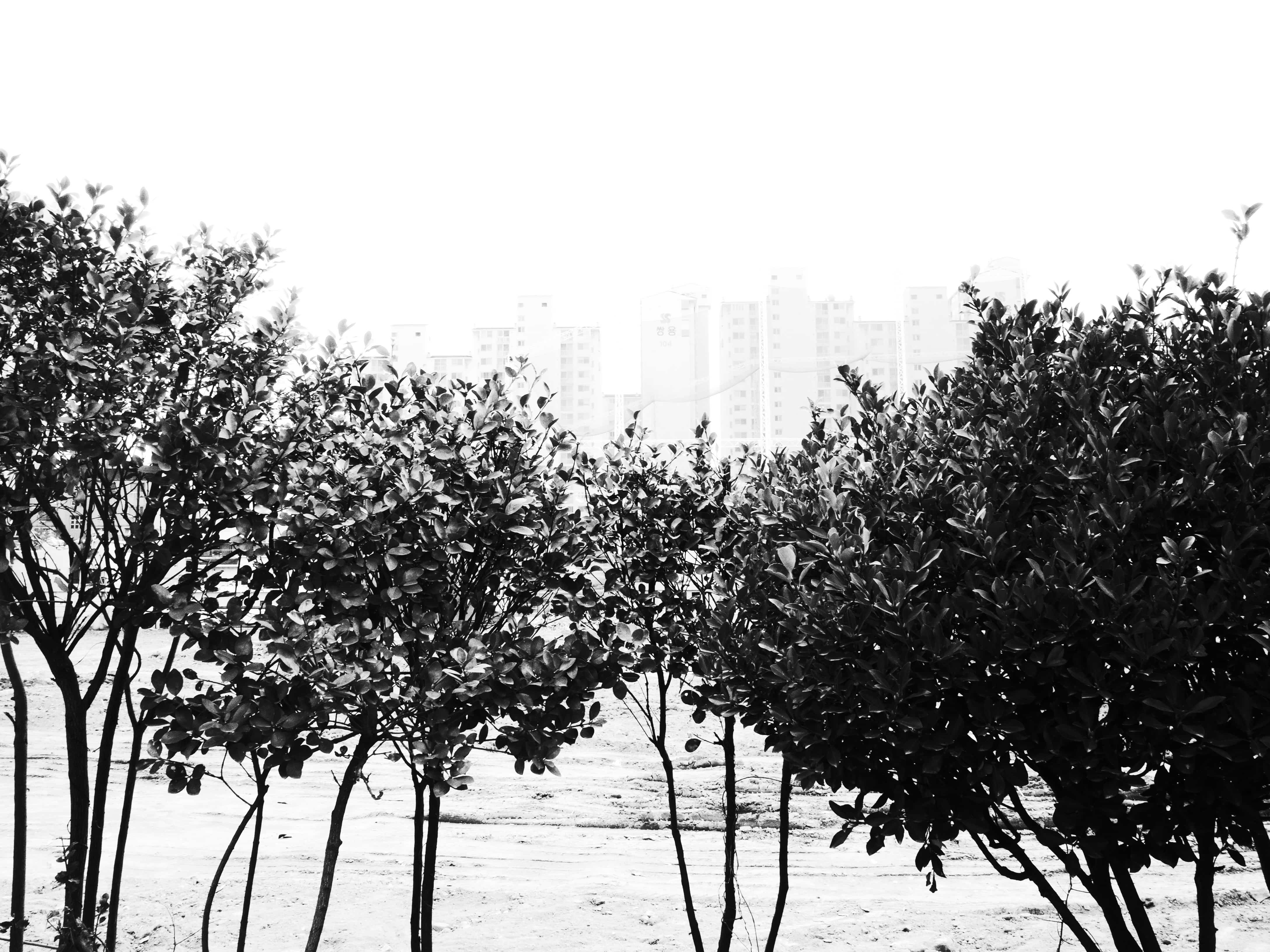 background-image