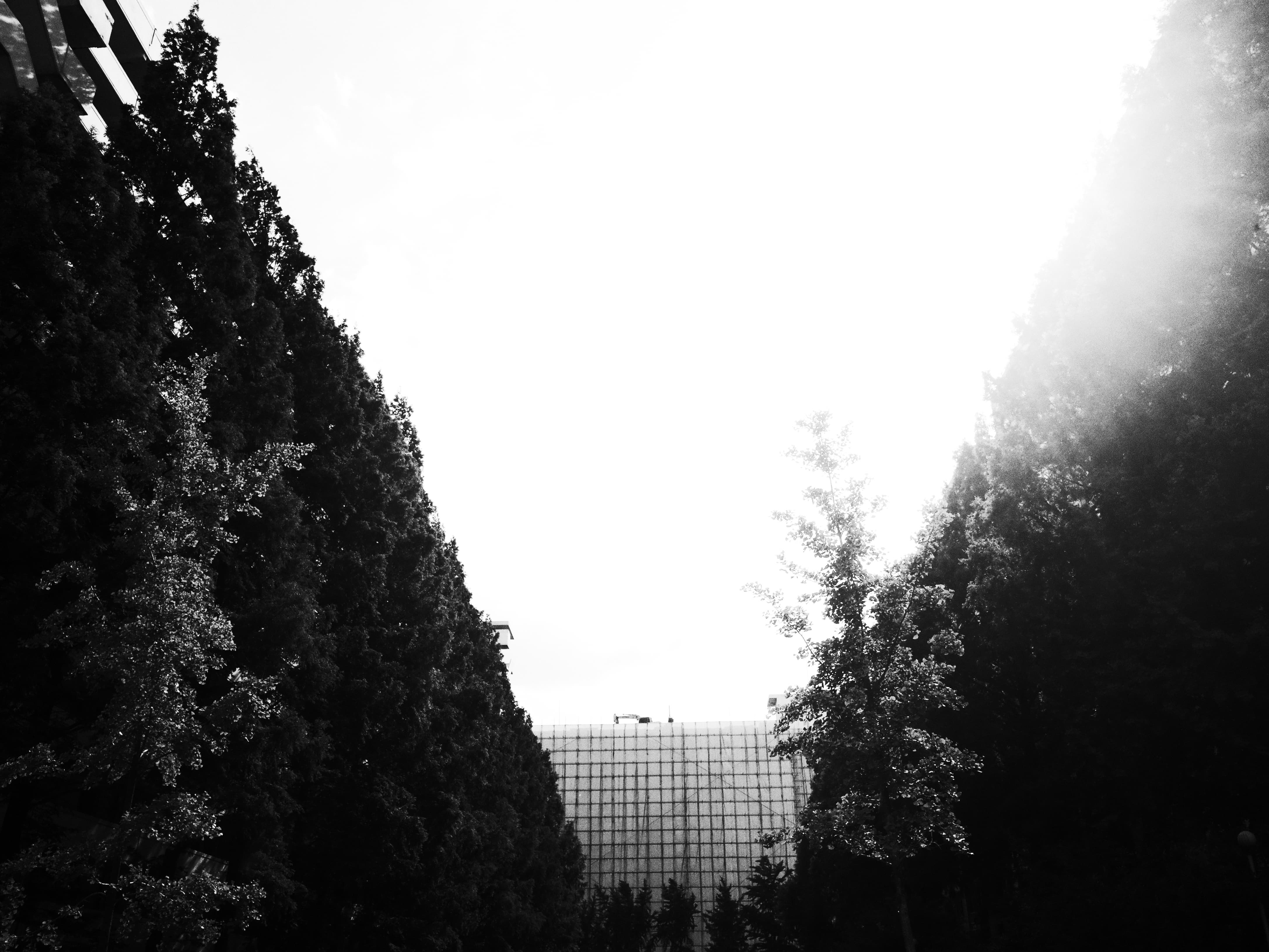 background-image