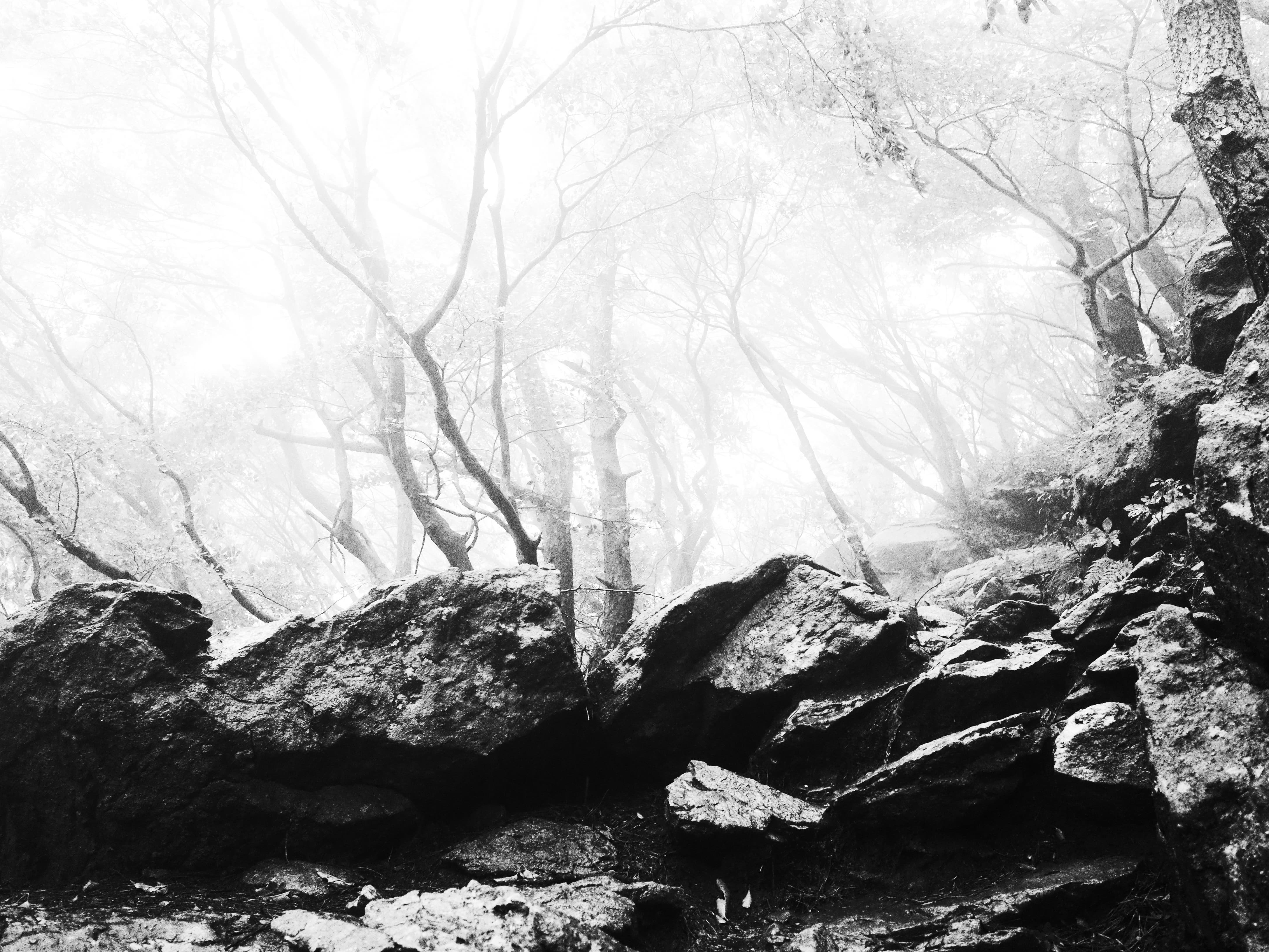 background-image